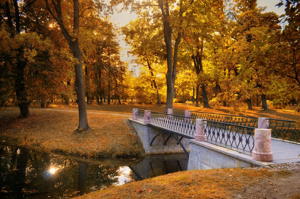 Золотая осень в Пушкине