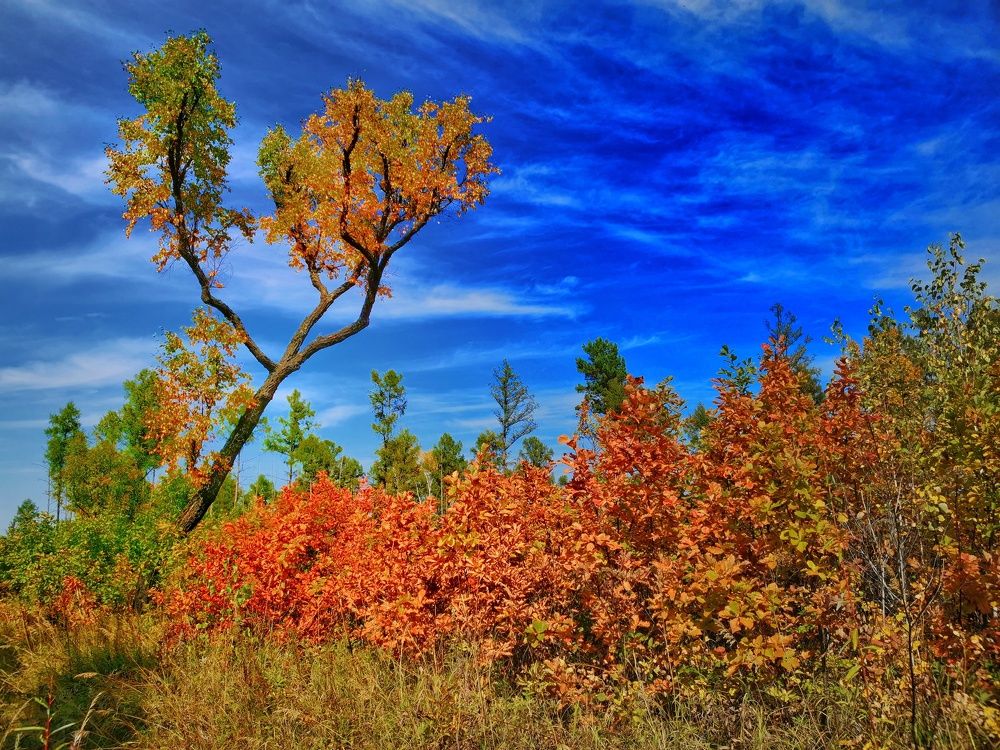 Photograph by Дмитрий Ронжин