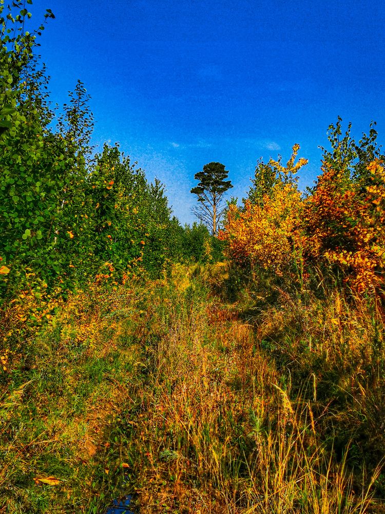 Photograph by Дмитрий Ронжин