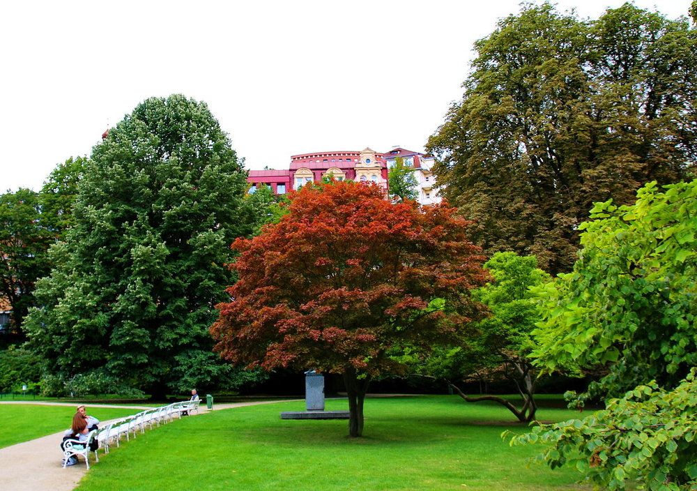 Фотография автора АЛЕКСАНДР ЦЫГЕЛЬНЮК