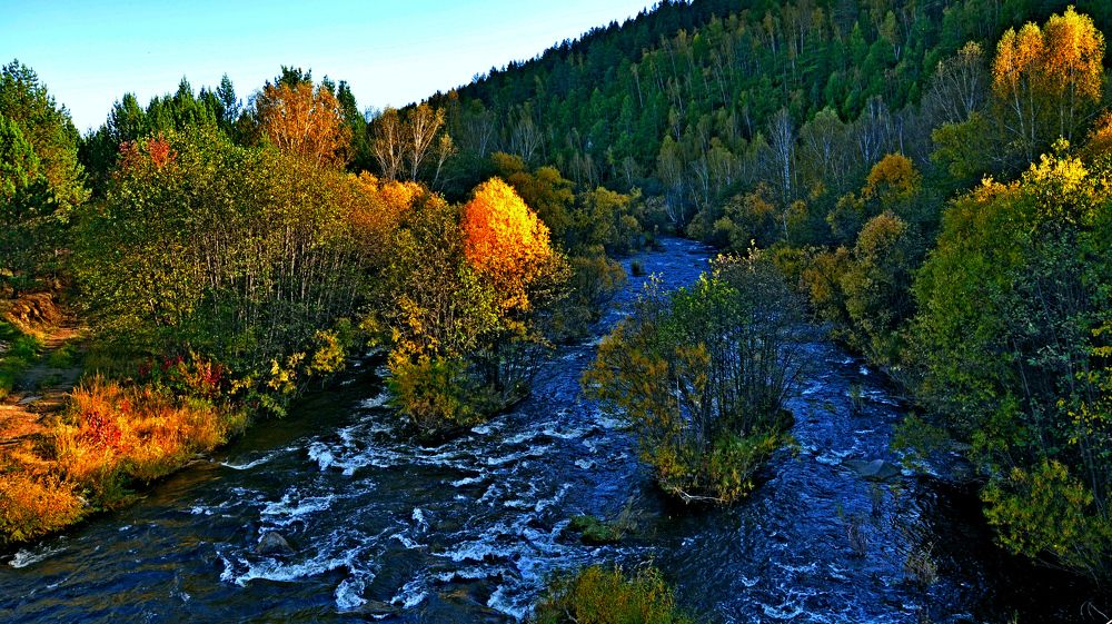 Золото осени.