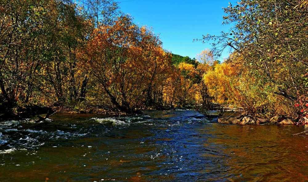 Золотая осень.