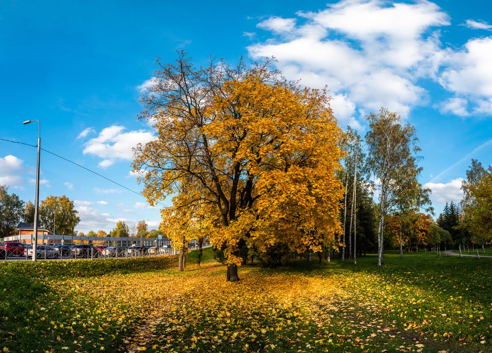 Фотография автора Дмитрий Дроздов