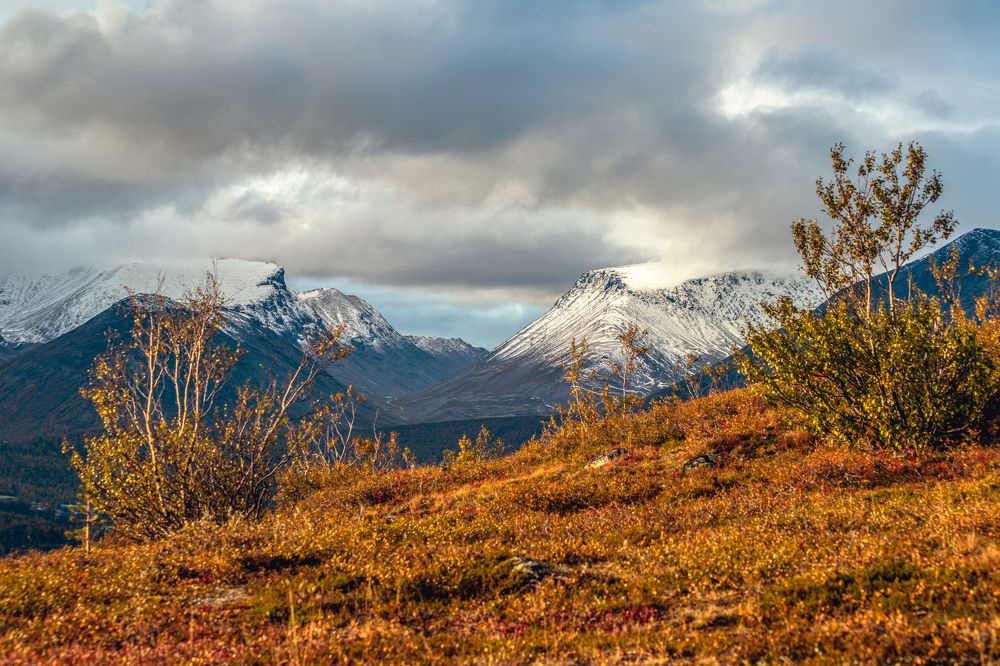 Photograph by Валентин Миляев