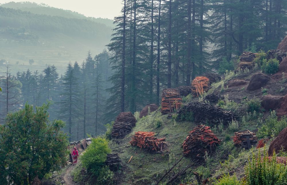 Photograph by Digvijay singh Janoti