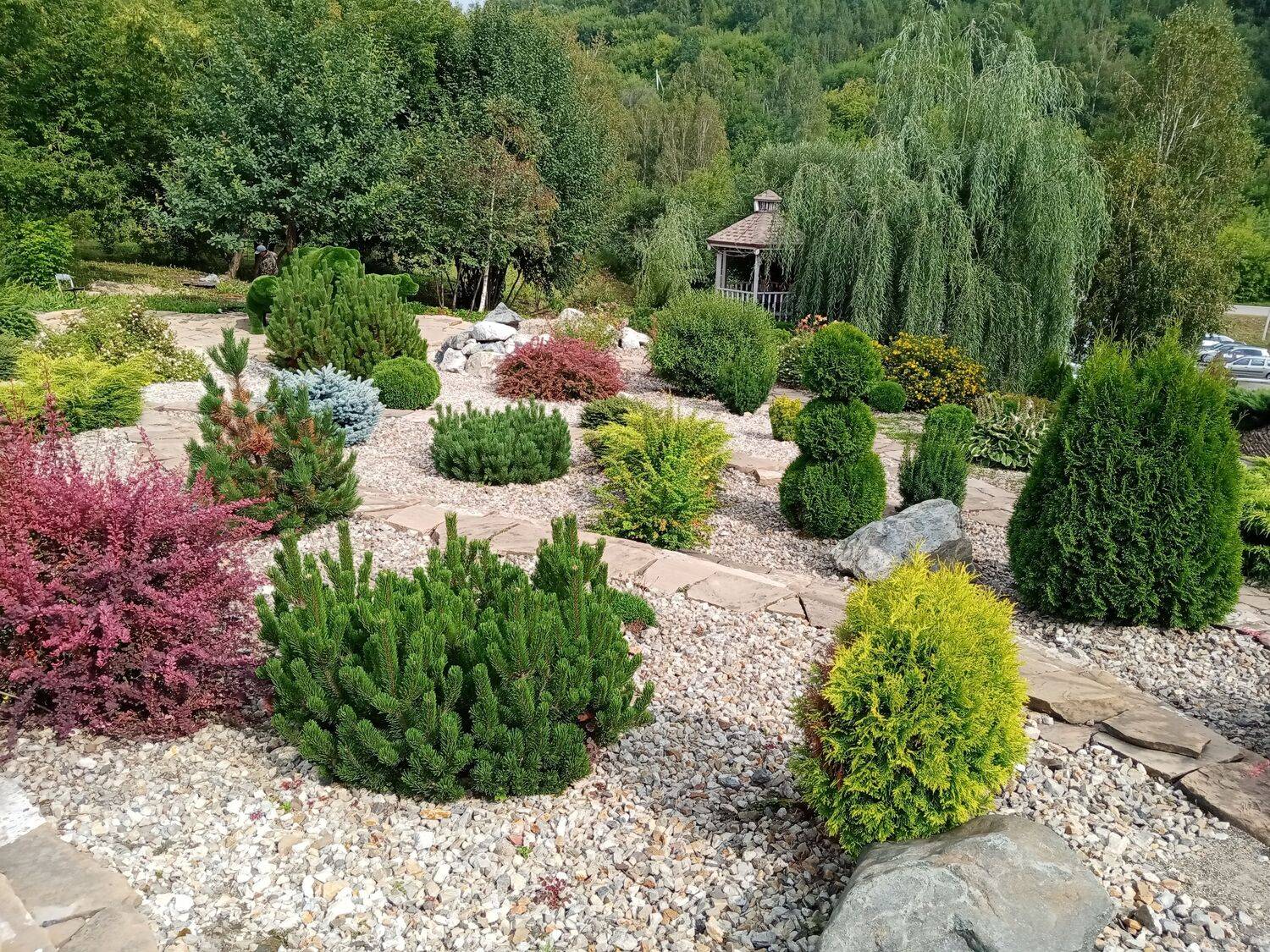 Photo #6545948