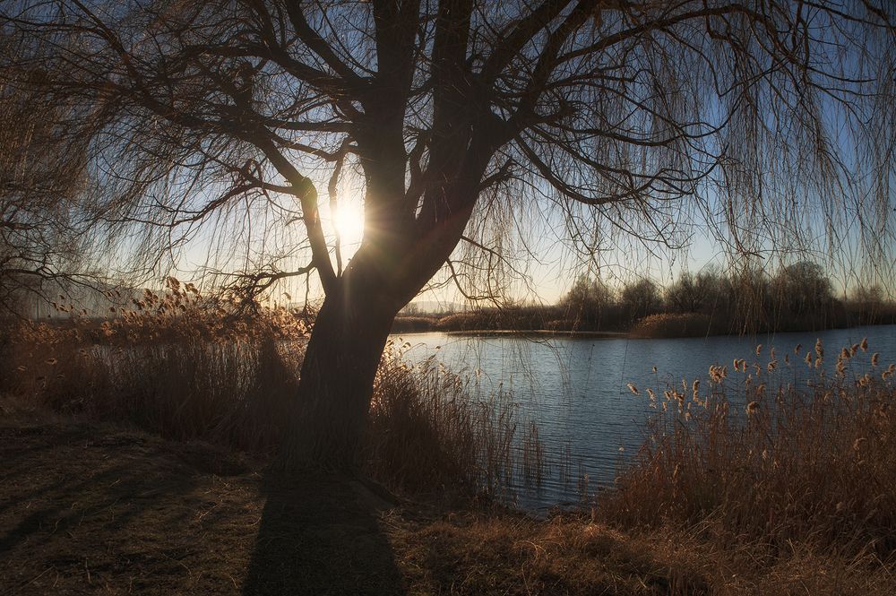 Photograph by Boris Tashkov