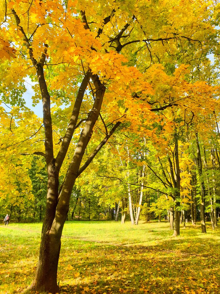 Photograph by александр фетисов