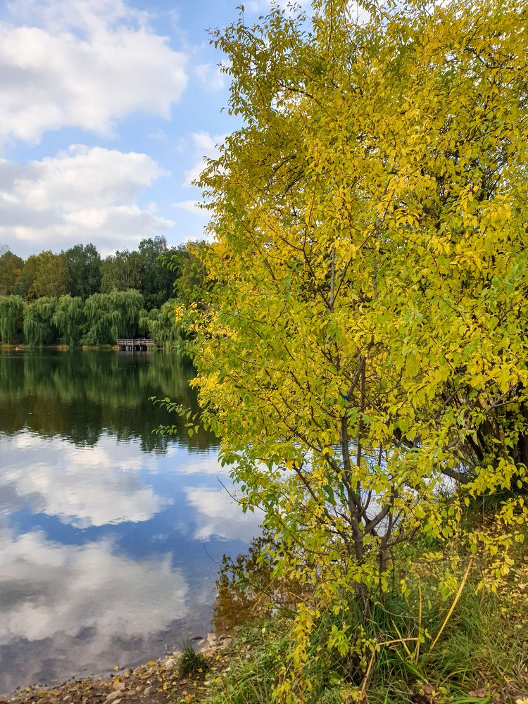 Photograph by александр фетисов