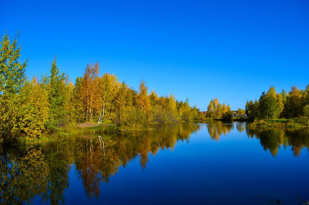 Зеркало сентября