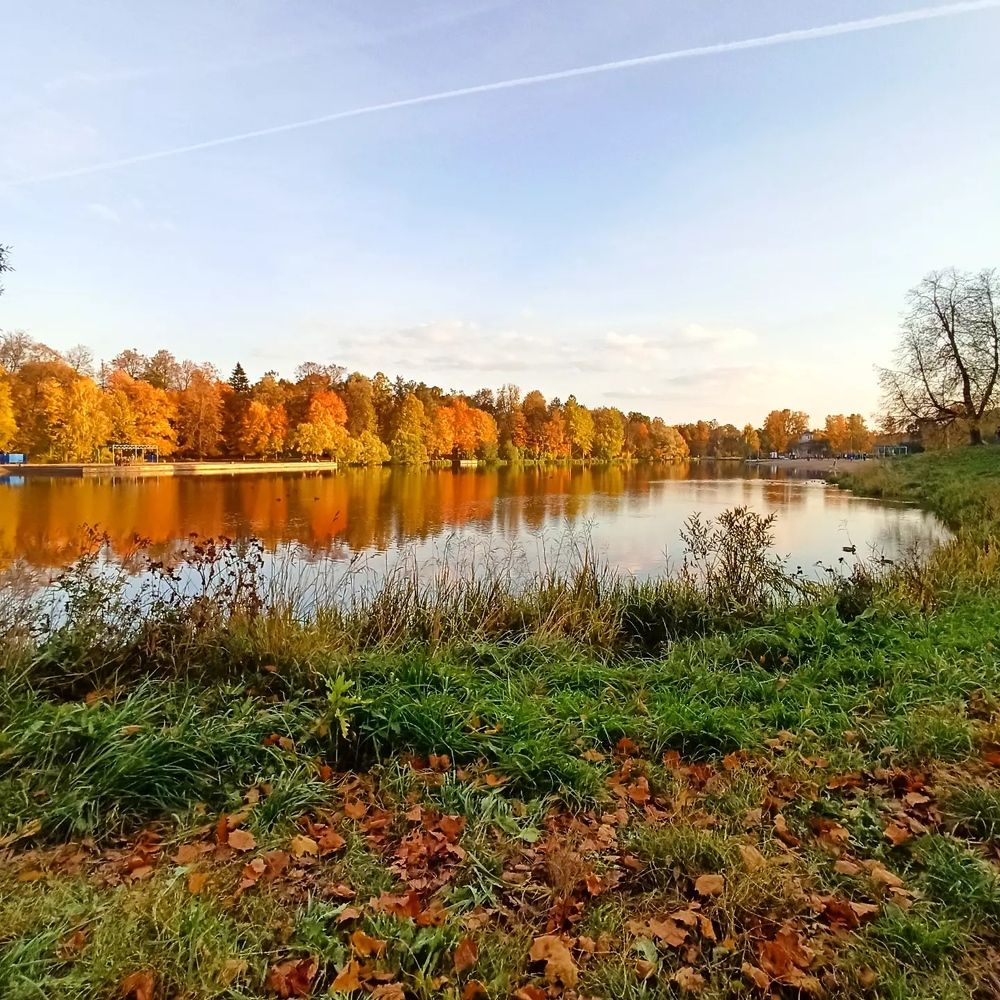 Photograph by Ксения Щеголева