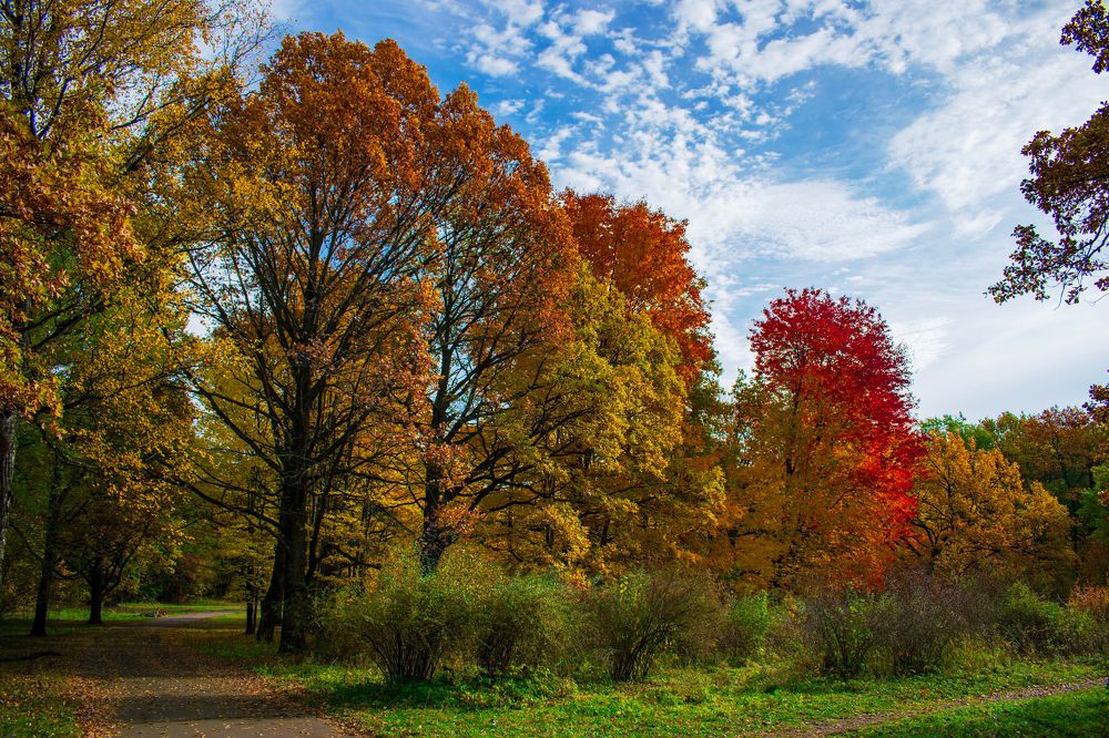 Фотография автора Adrian Wolf