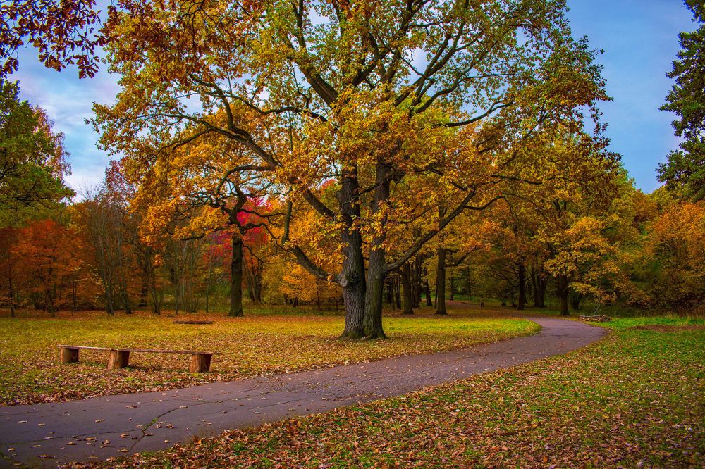 Фотография автора Adrian Wolf