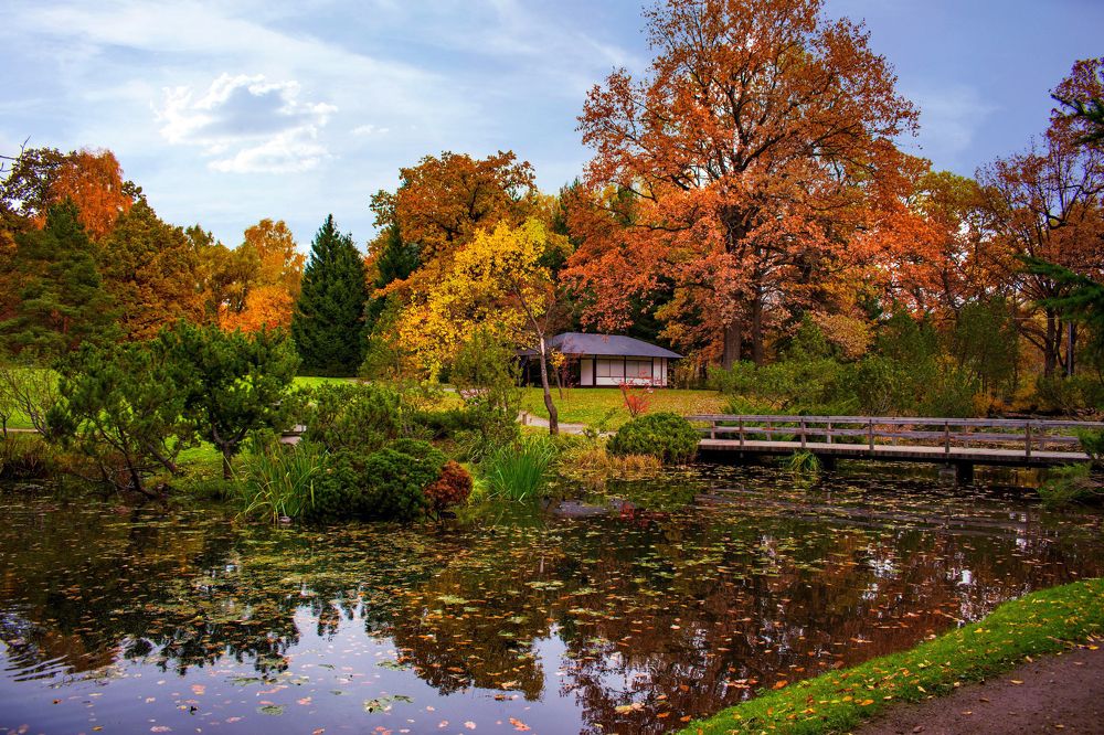 Фотография автора Adrian Wolf