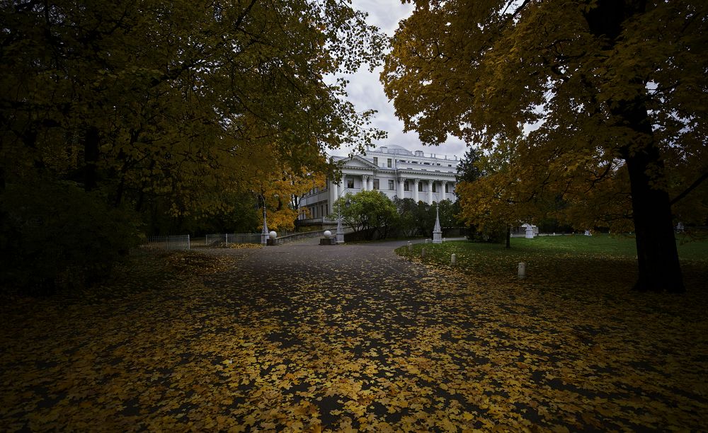 Лиственный ковёр