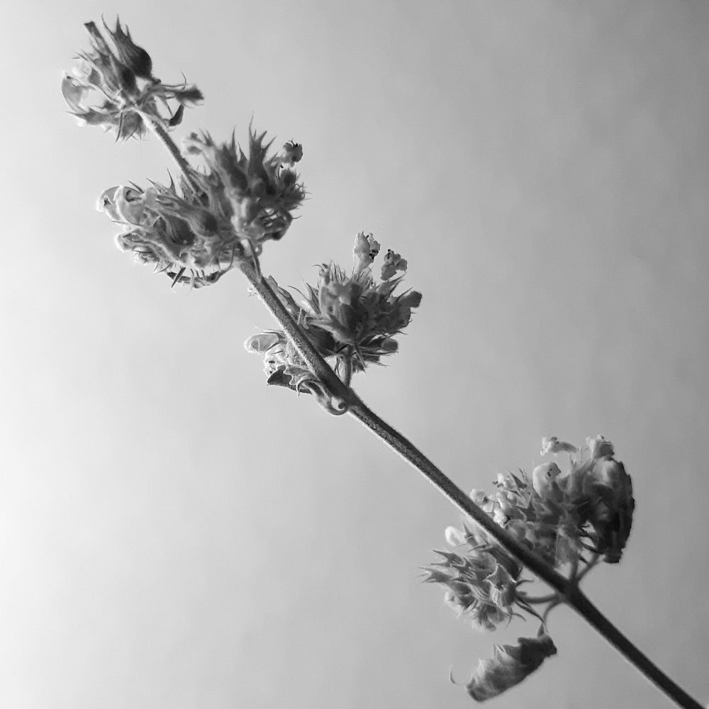 Photograph by Майя Жамыганова