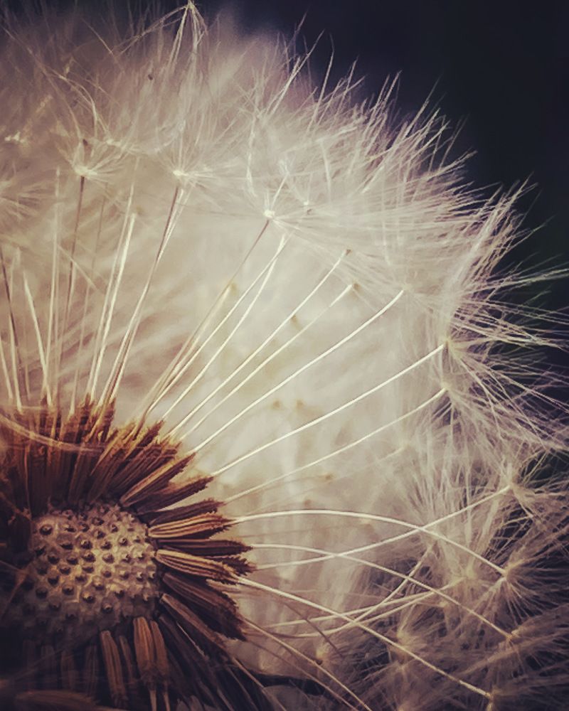 Photograph by Ольга Скиба