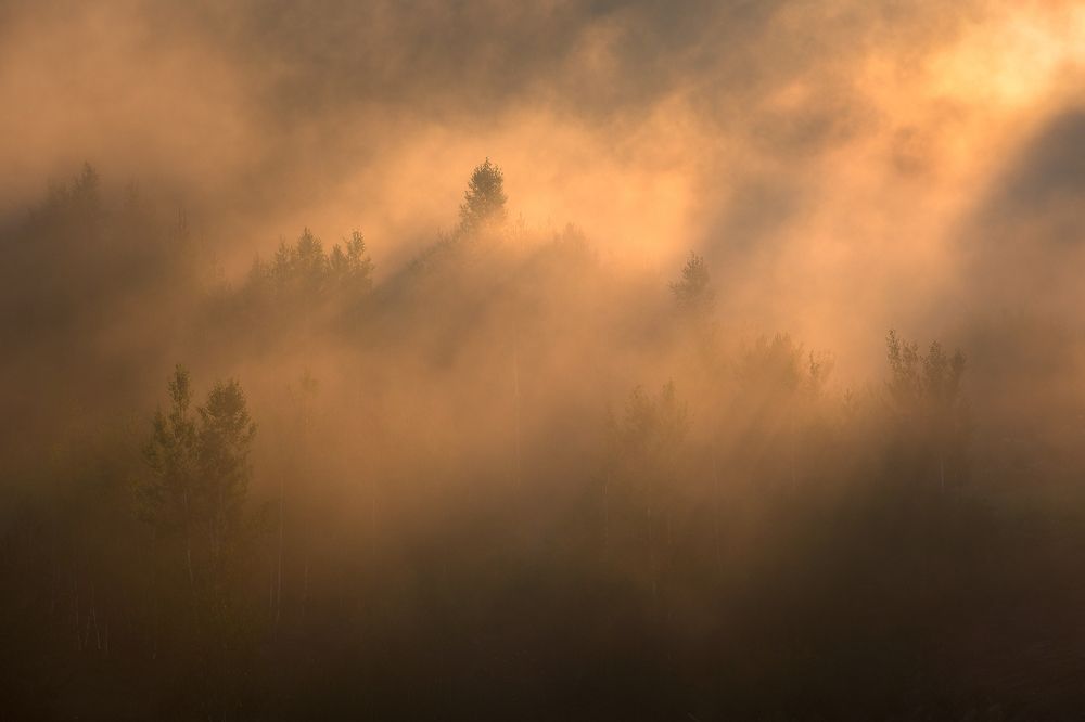 Photograph by Евгений Гецев