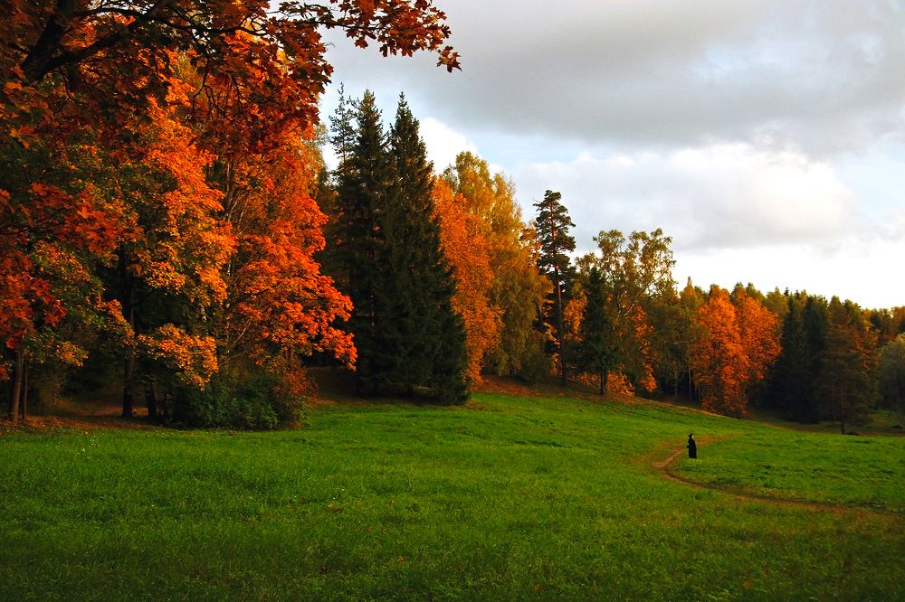 Осенний вечер в Павловском парке