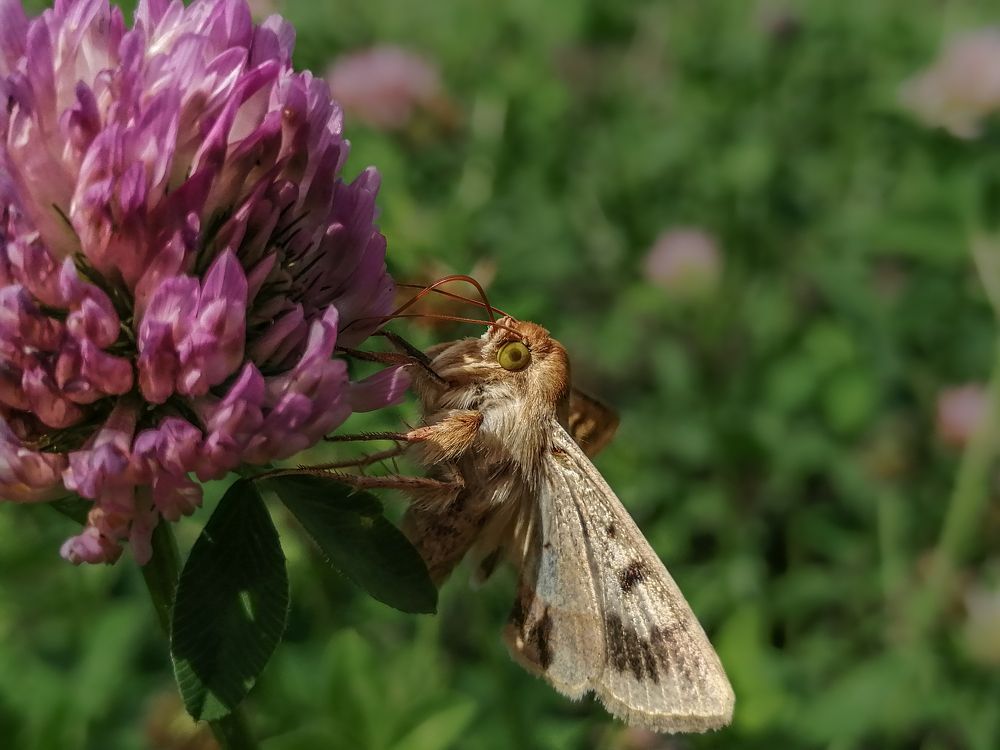 Photograph by Надежда Алешечкина