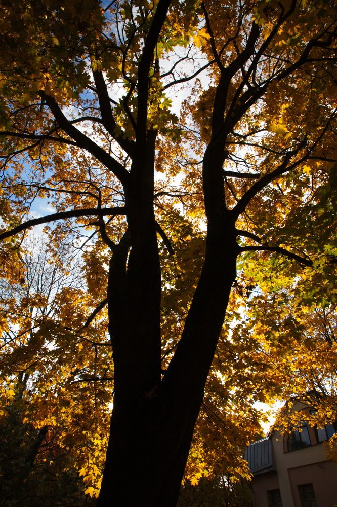 Photograph by Анатолий Протасов