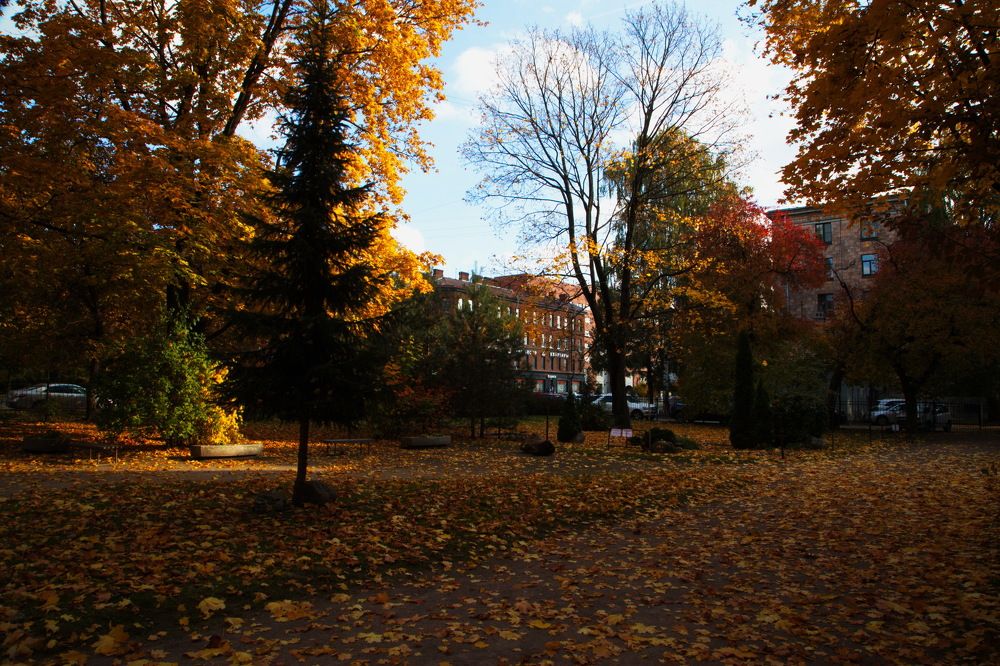 Photograph by Анатолий Протасов