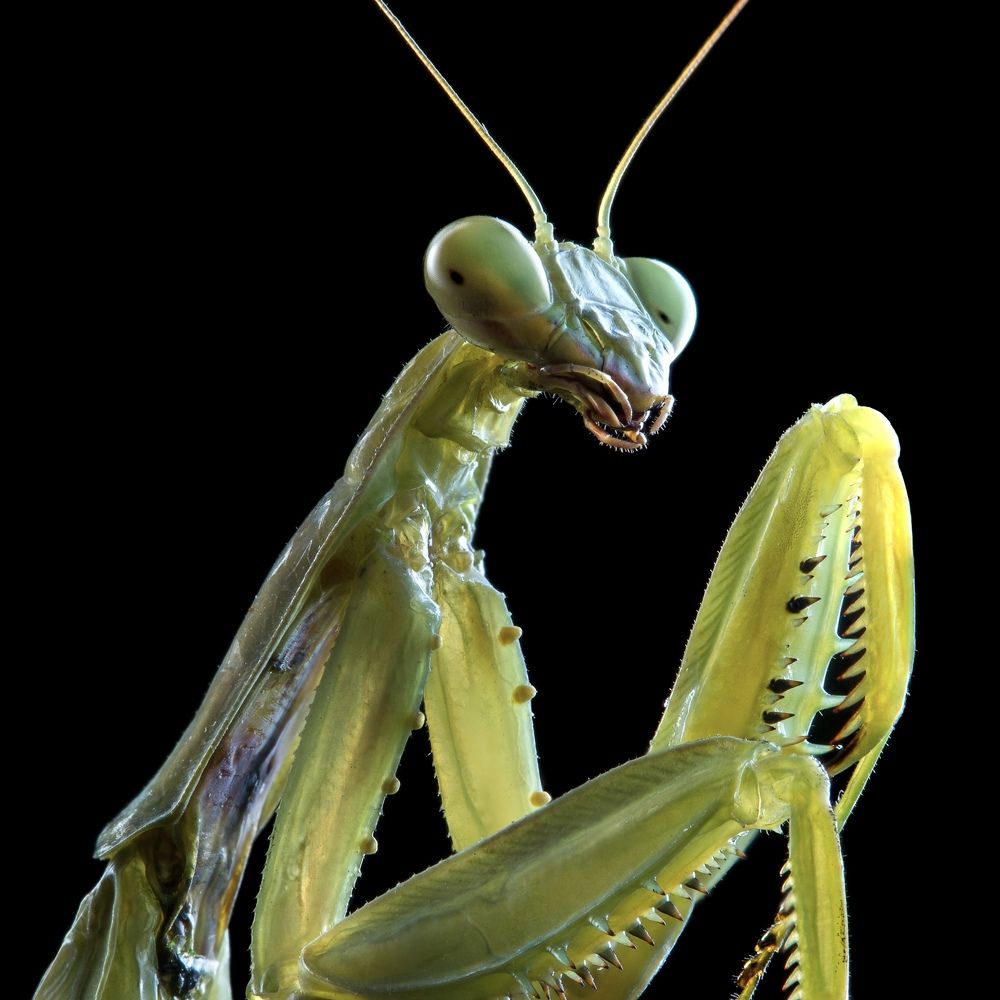 Photograph by Сергей Варыгин