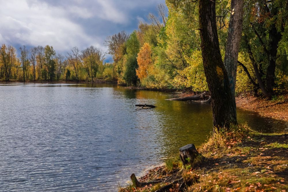 Photograph by Ксения Моськина