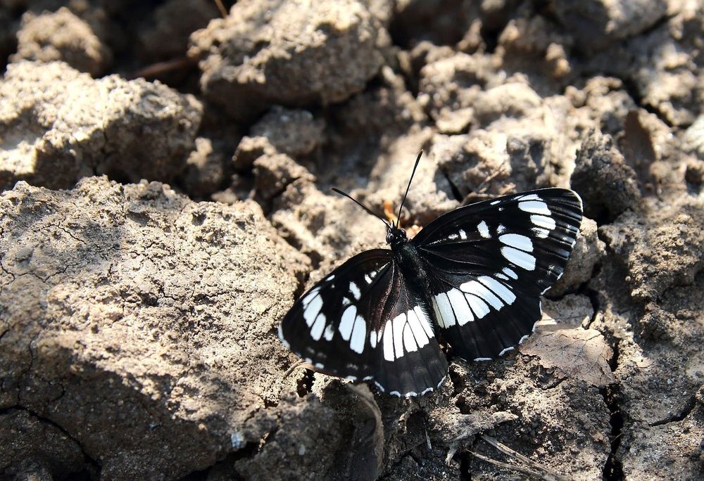 Photograph by Юрий Варюхин