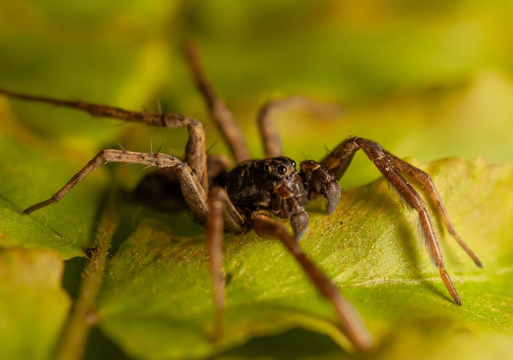 Photograph by Марина Новожилова