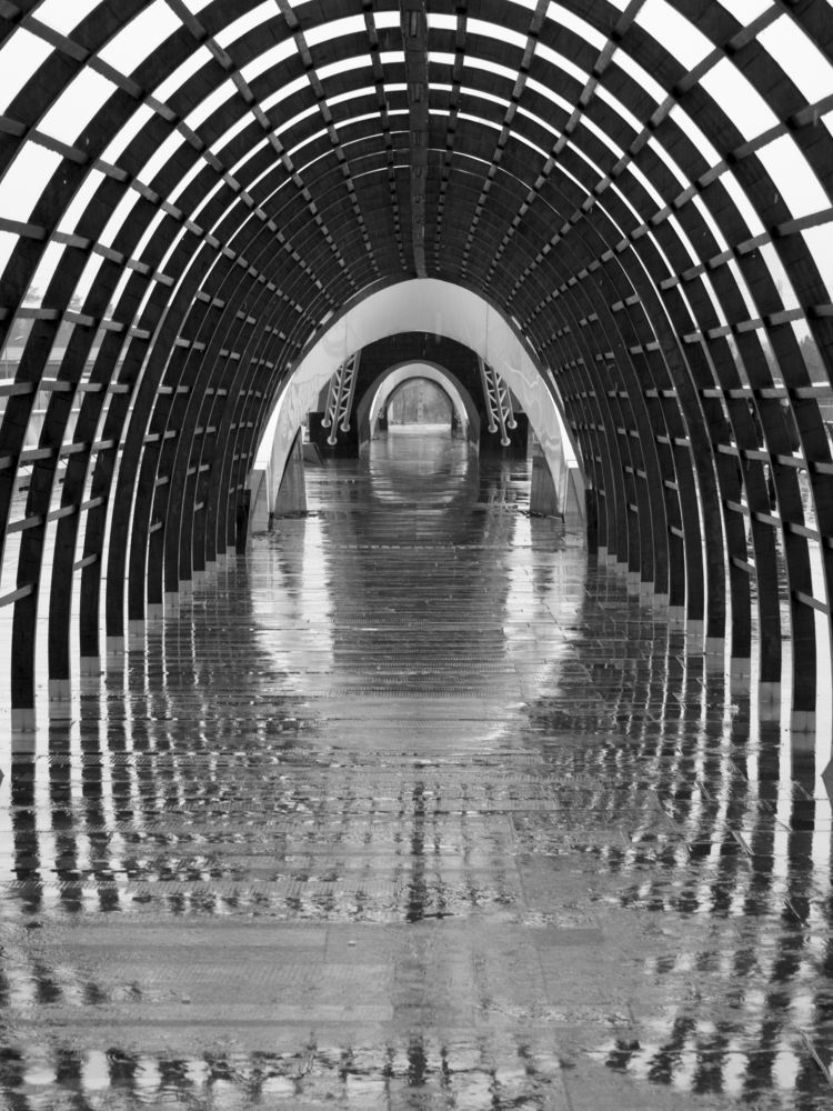 Photograph by Abdolreza Aleagha