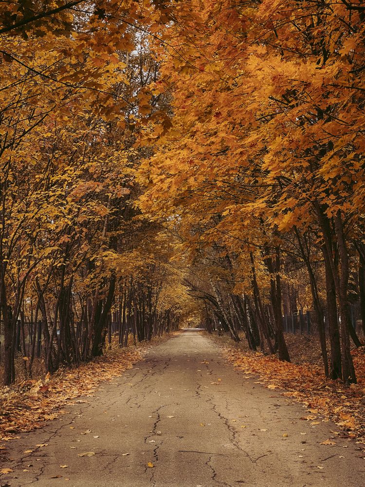 Photograph by Наталья Мальцева