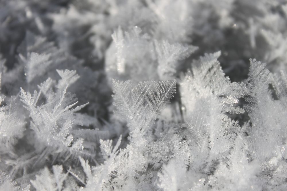 Photograph by Денис Лащ