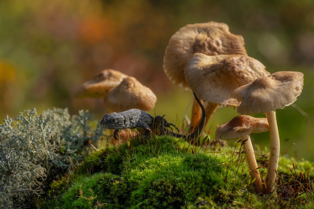 Путешествие