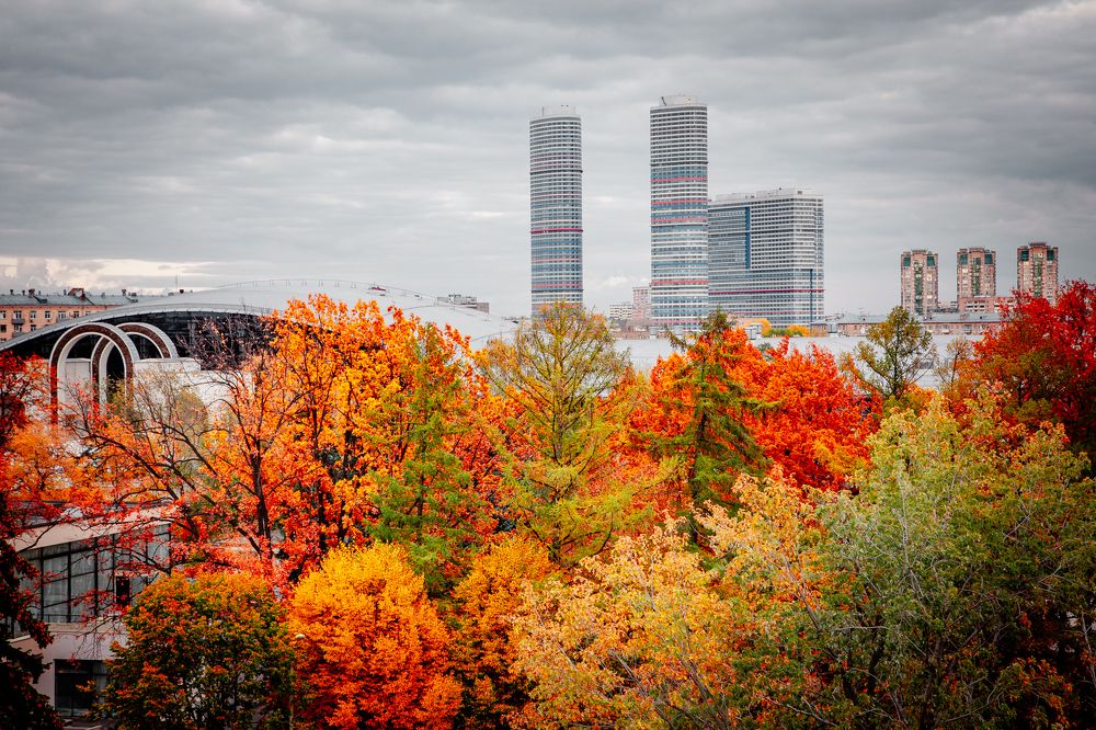 Photograph by Дмитрий Трепольский