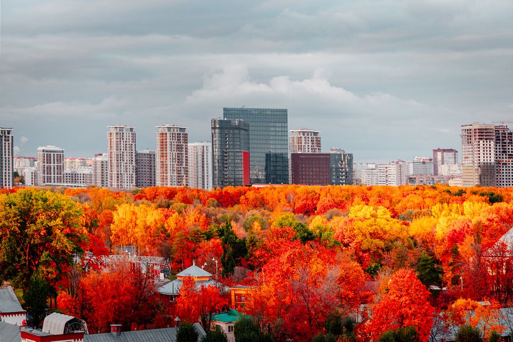 Photograph by Дмитрий Трепольский