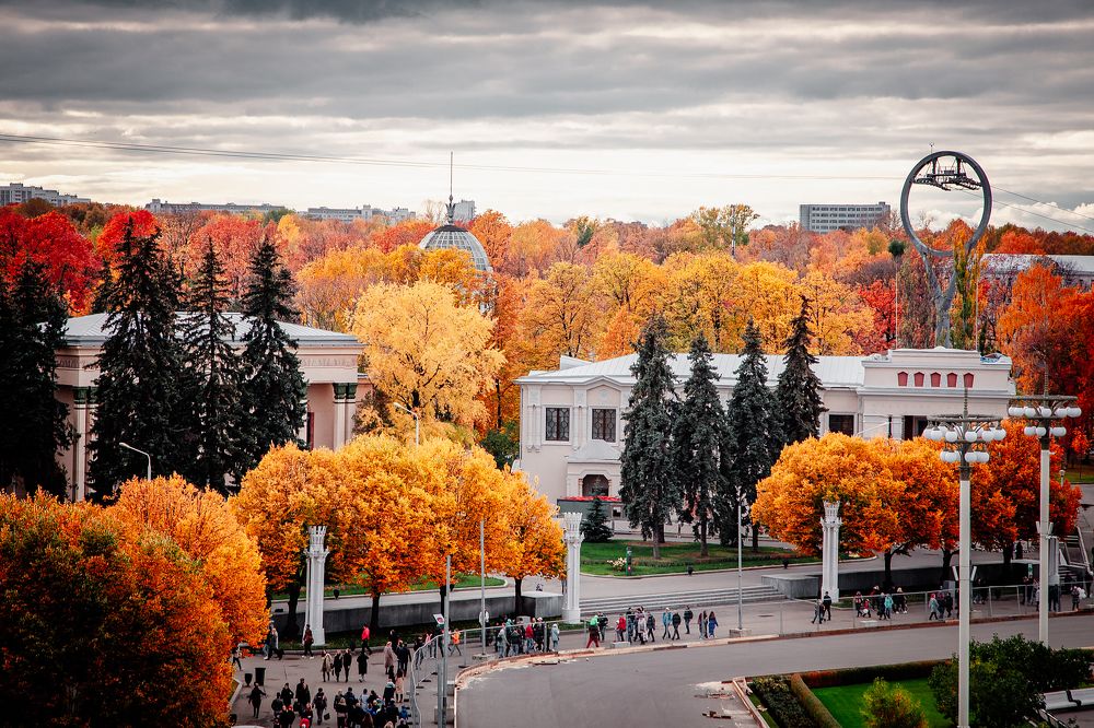 Photograph by Дмитрий Трепольский