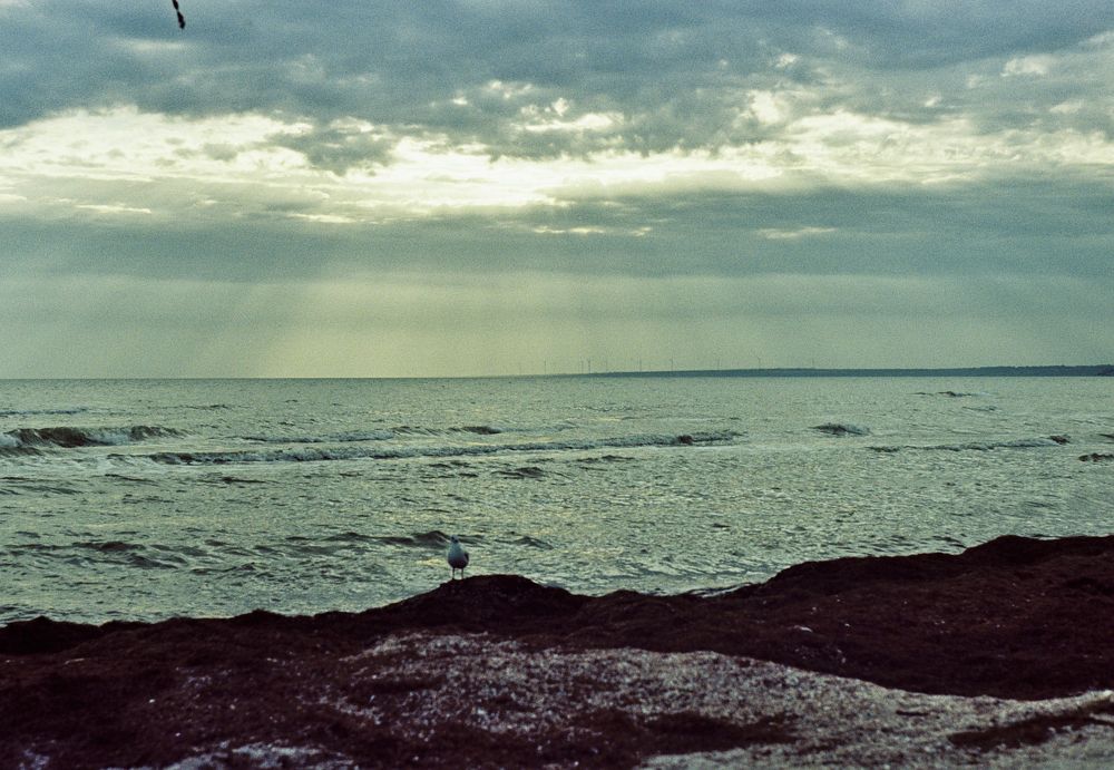 Последние дни лета