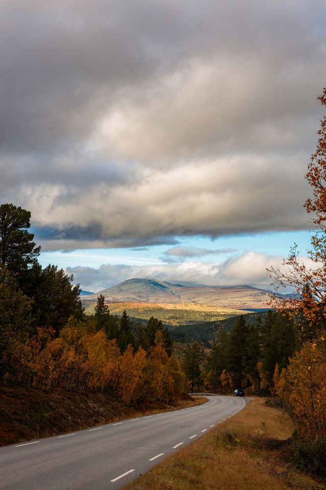 Photograph by Nikolai Mihhailov