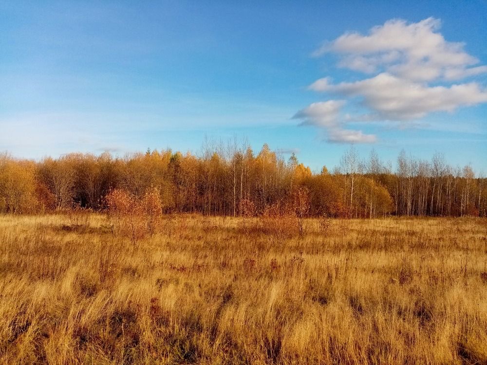 Photograph by Ирина Анкушина