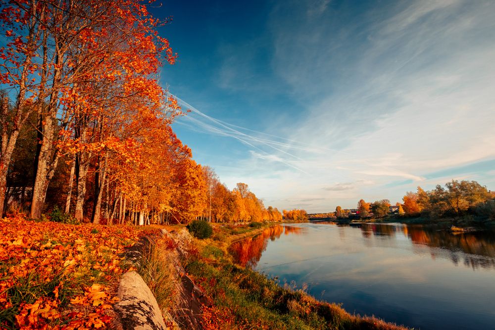 Photograph by Дмитрий