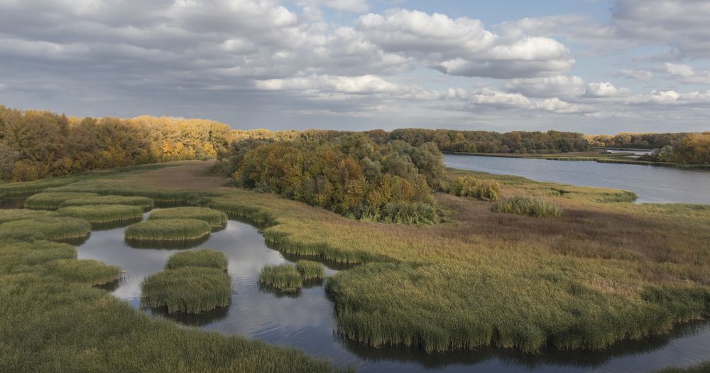 Photograph by Sergey Paramonov