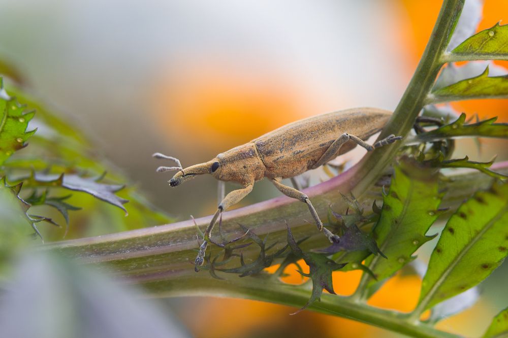 Photograph by Ольга