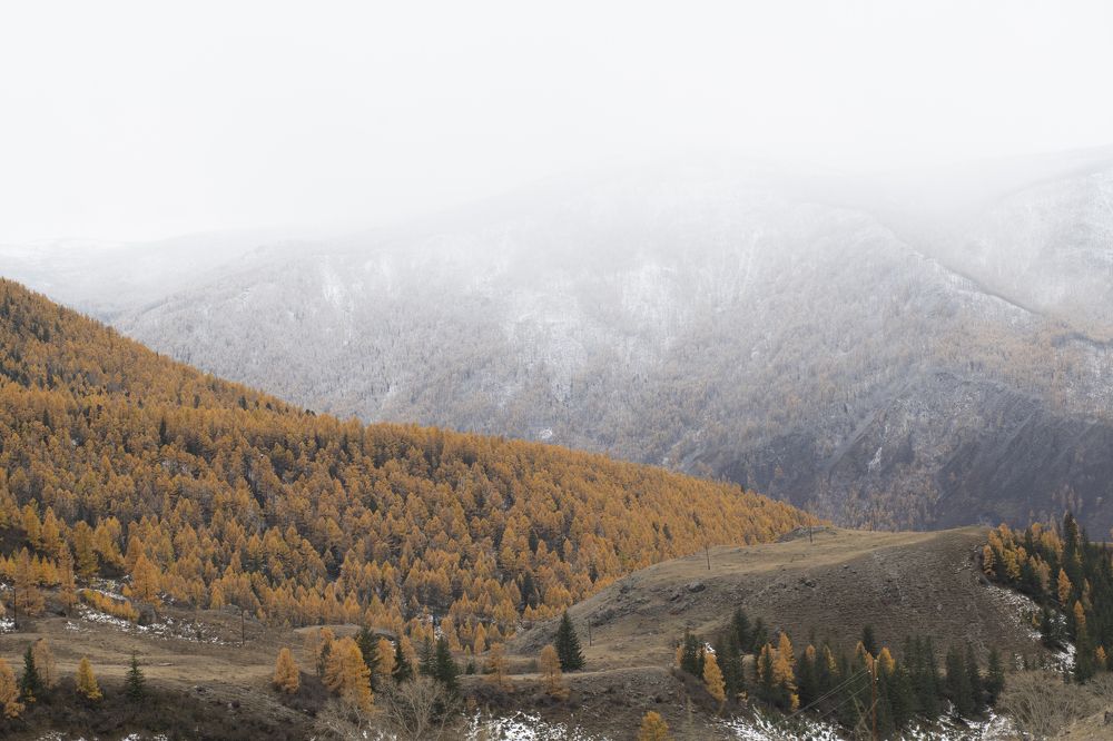 Photograph by Сергей Шерстнев