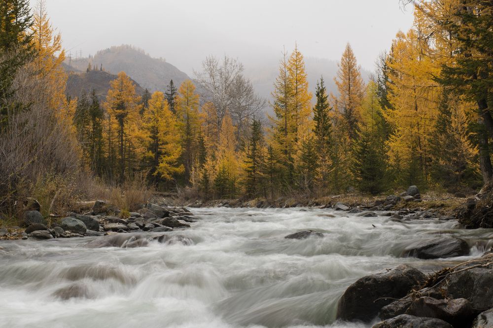 Photograph by Сергей Шерстнев