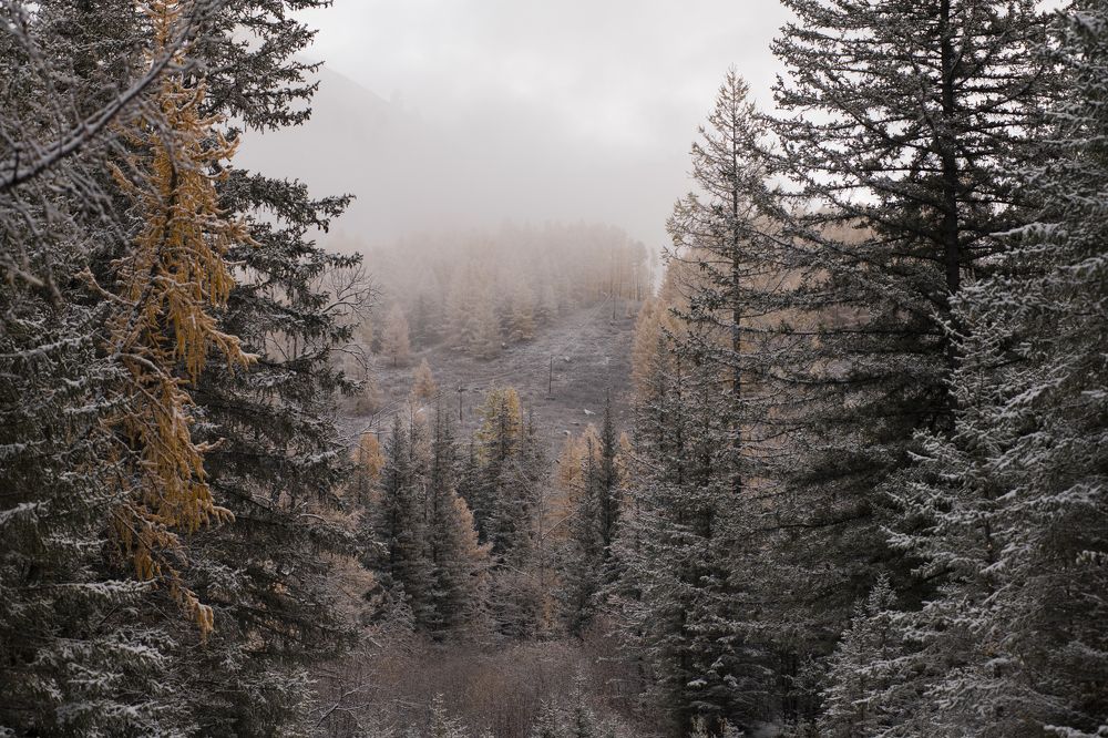 Photograph by Сергей Шерстнев