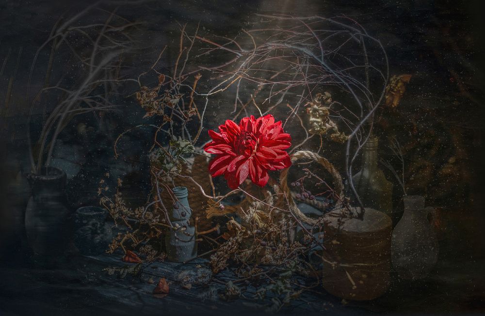 Photograph by MVO (Марк Орлов)