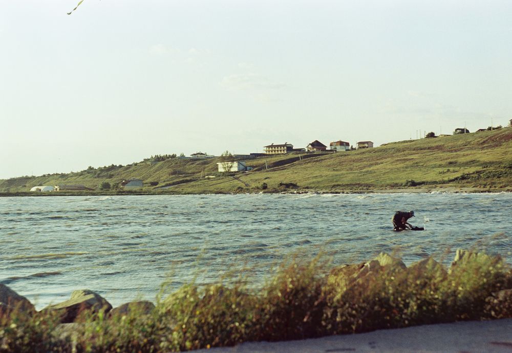 Без труда не вытащишь и рыбку из моря