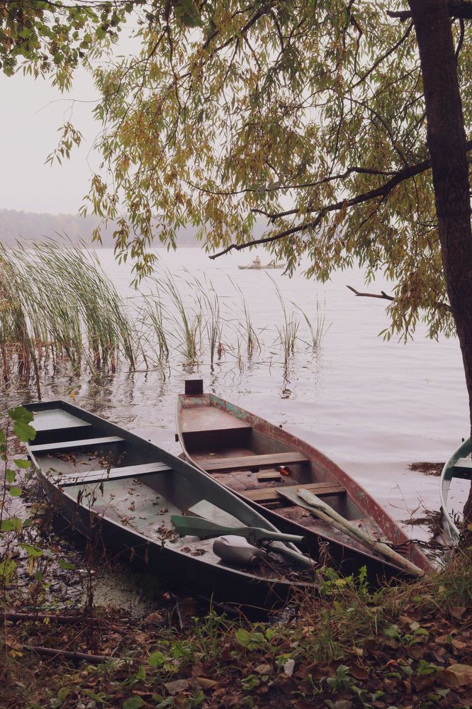 Photograph by Елена Квасова