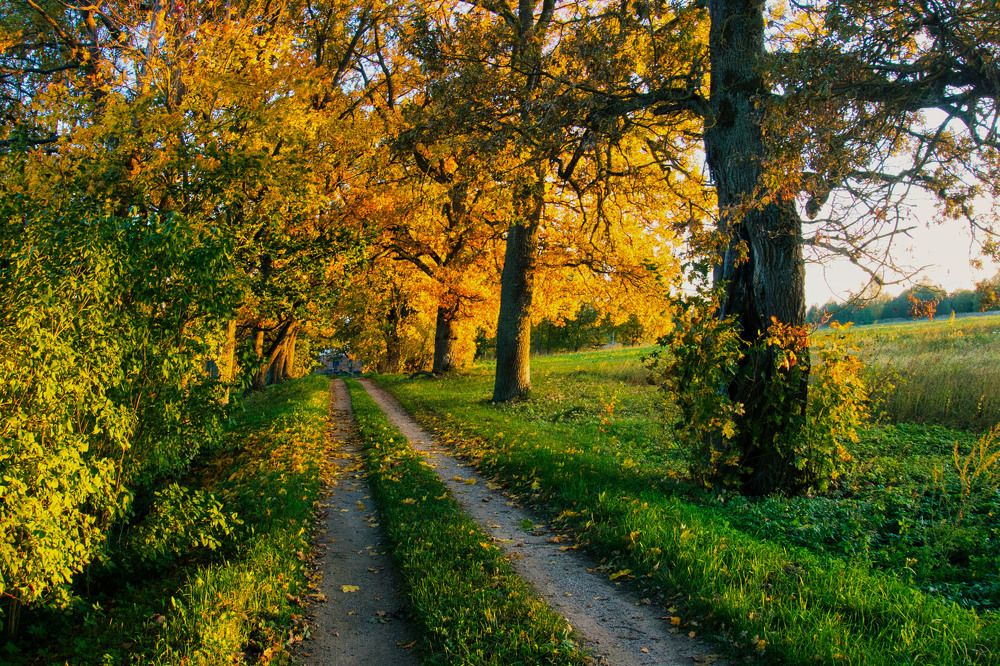 Photograph by Osvalds Kretainis